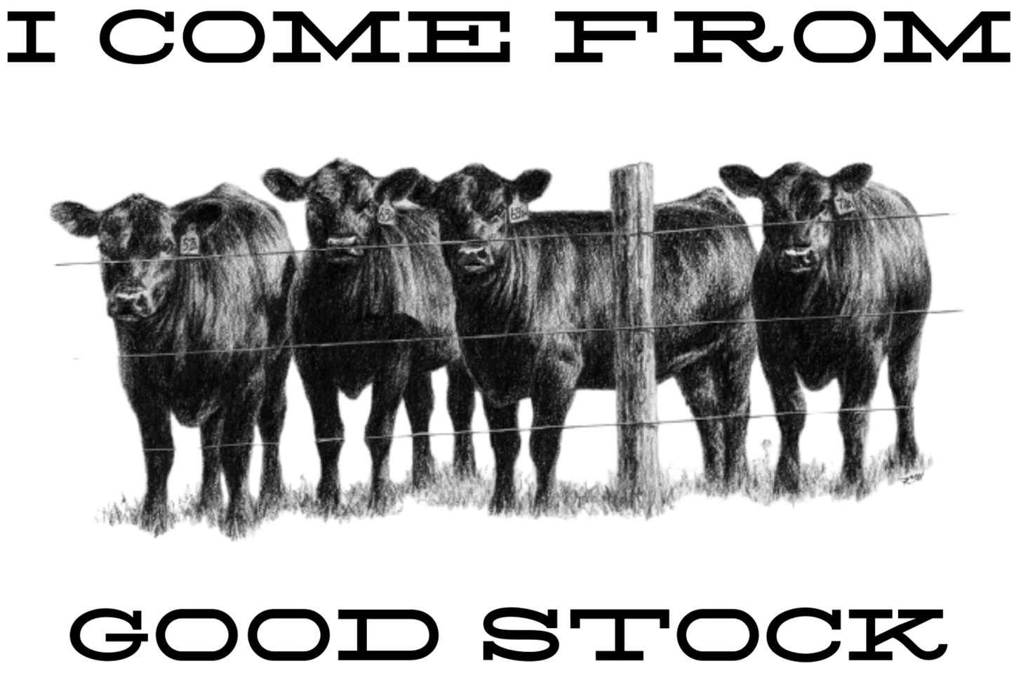 Farm & Ranch Designs