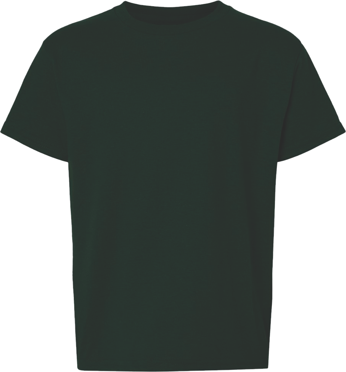 GDN8000B - Youth Short Sleeve Tee - Colors