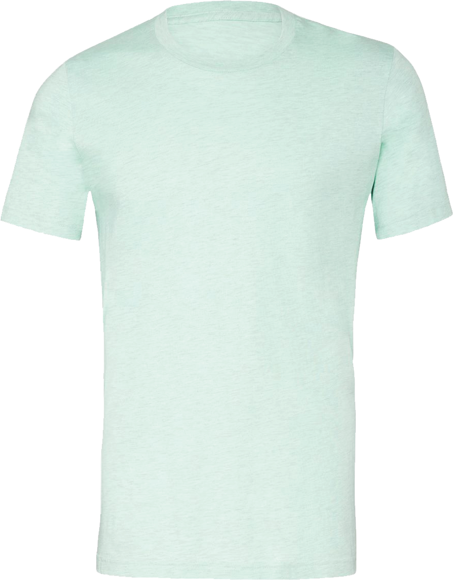 BC3001CVC - Short Sleeve Tee - Prism