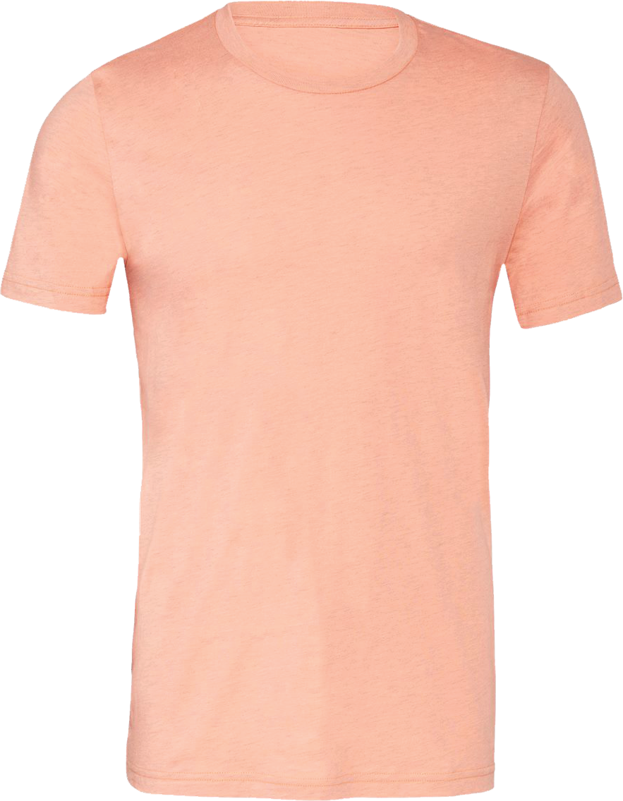 BC3001CVC - Short Sleeve Tee - Prism