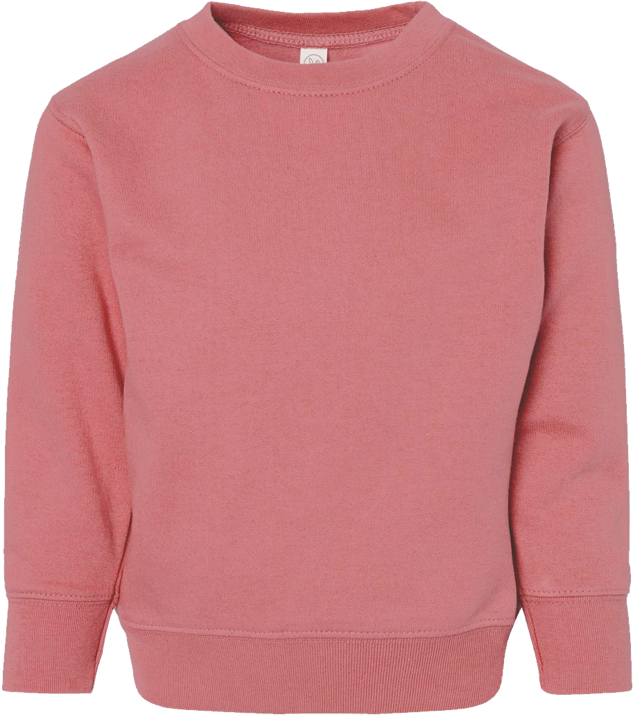 RS3317 - Toddler Crewneck Sweatshirt - Strasburg 125th