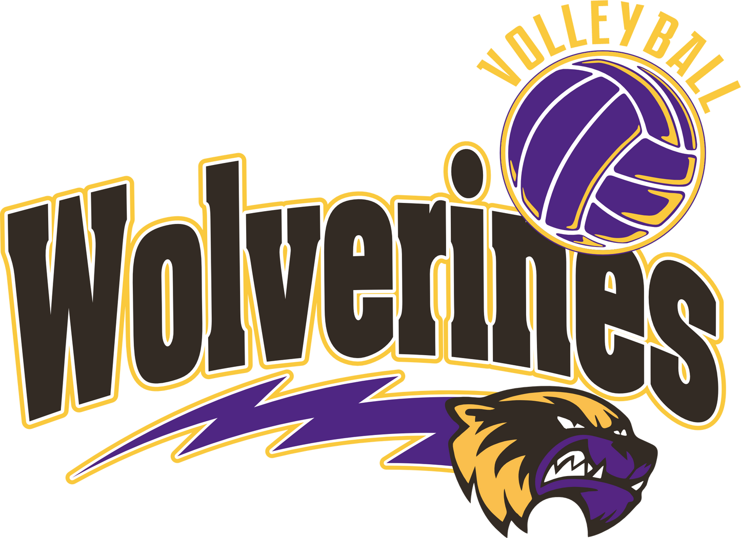 HSA Volleyball Designs