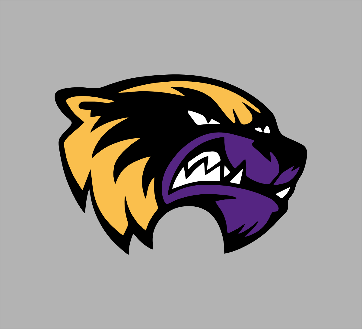 HSA Wolverines