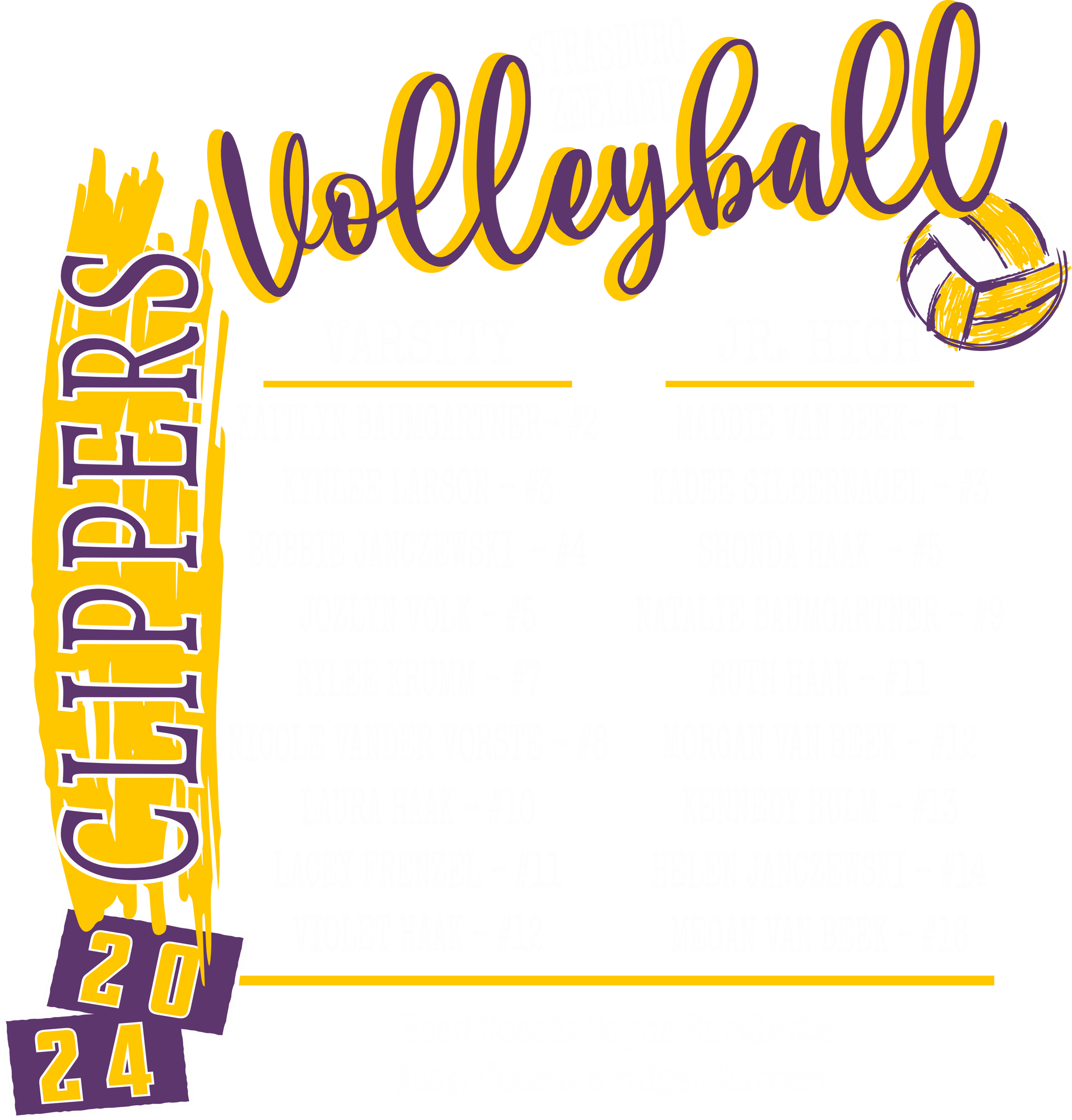 VB Roster