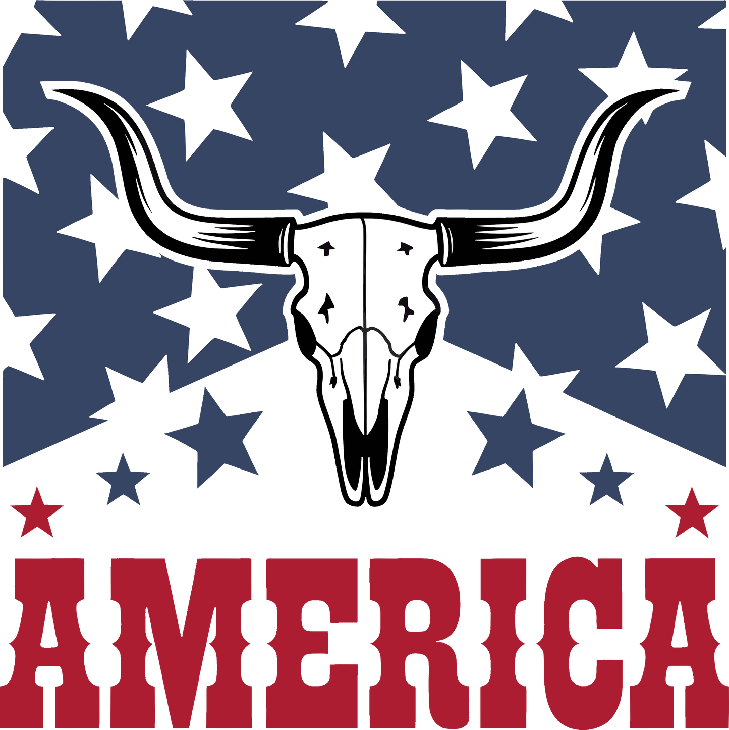 Designs - Holiday - 4th of July