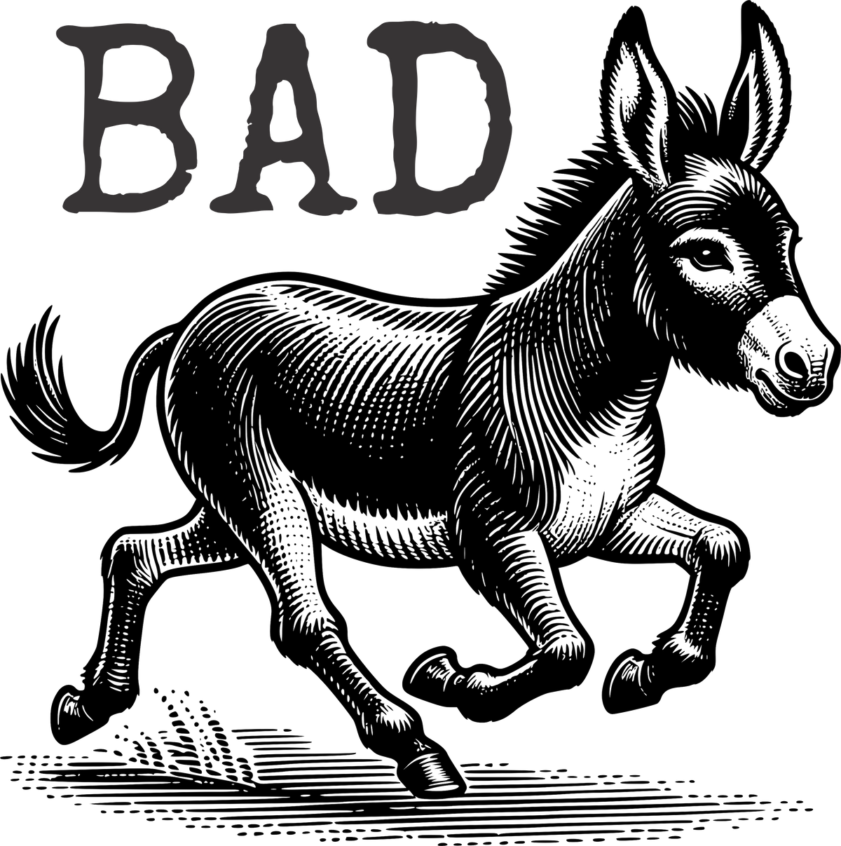 Designs - Animal