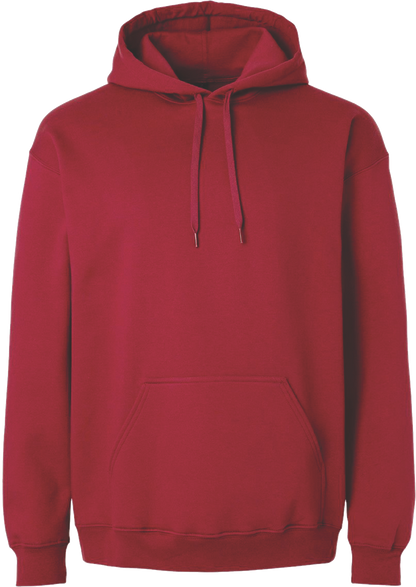 GDN-SF500 - Unisex Softstyle Midweight Hooded Sweatshirt - AMC