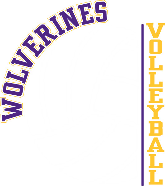 HSA Volleyball Designs