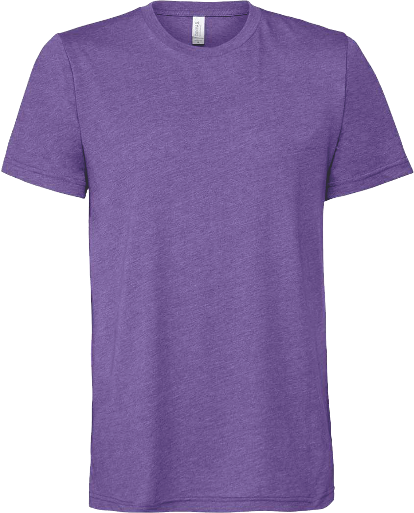 BC3001CVC - Short Sleeve Tee - Purple & Blue