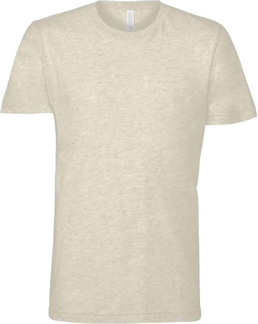 BC3001CVC - Short Sleeve Tee - Prism