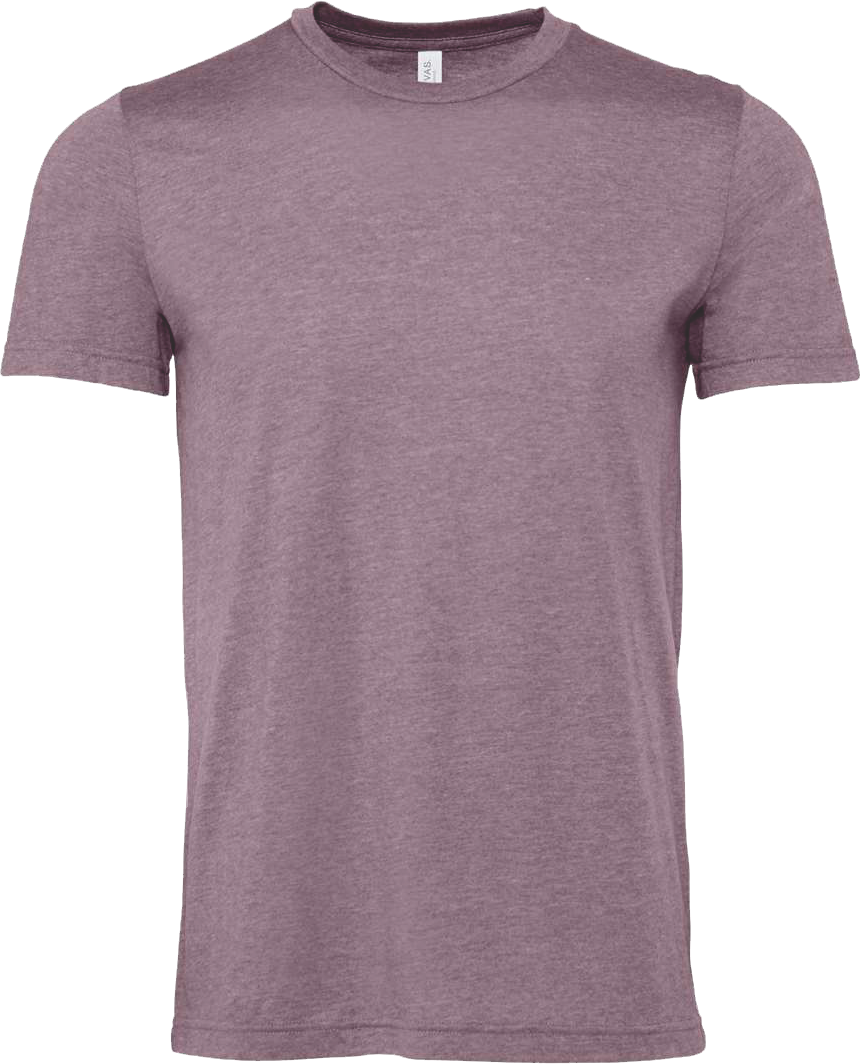 BC3001CVC - Unisex Heather Jersey Short Sleeve Tee - AMC Fun