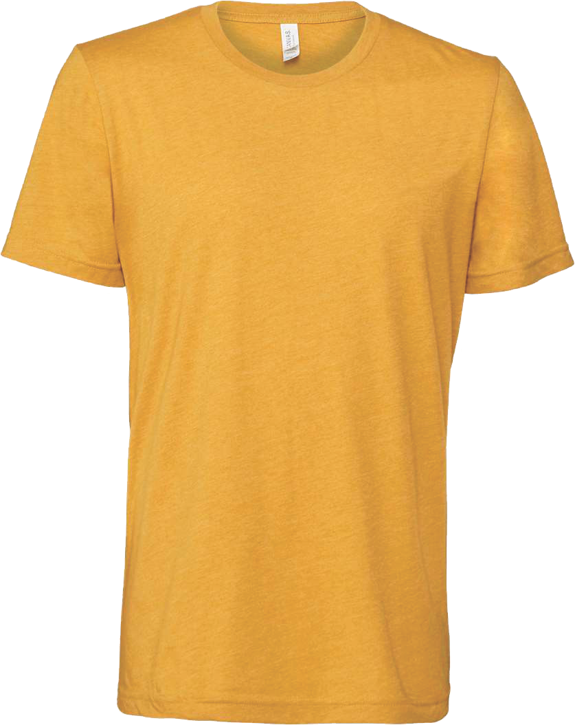 BC3001CVC - Unisex Heather Jersey Short Sleeve Tee - AMC Fun