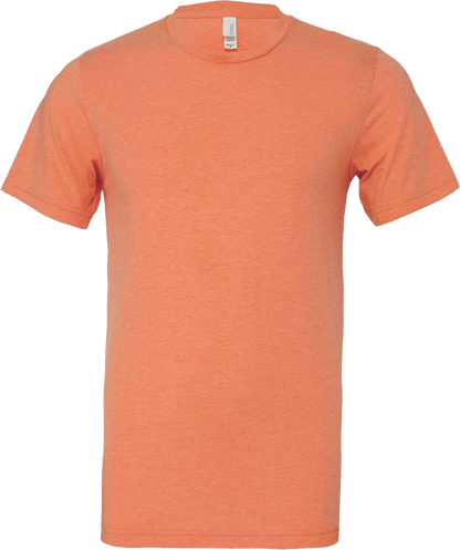 BC3001CVC - Unisex Heather Jersey Short Sleeve Tee - AMC Fun