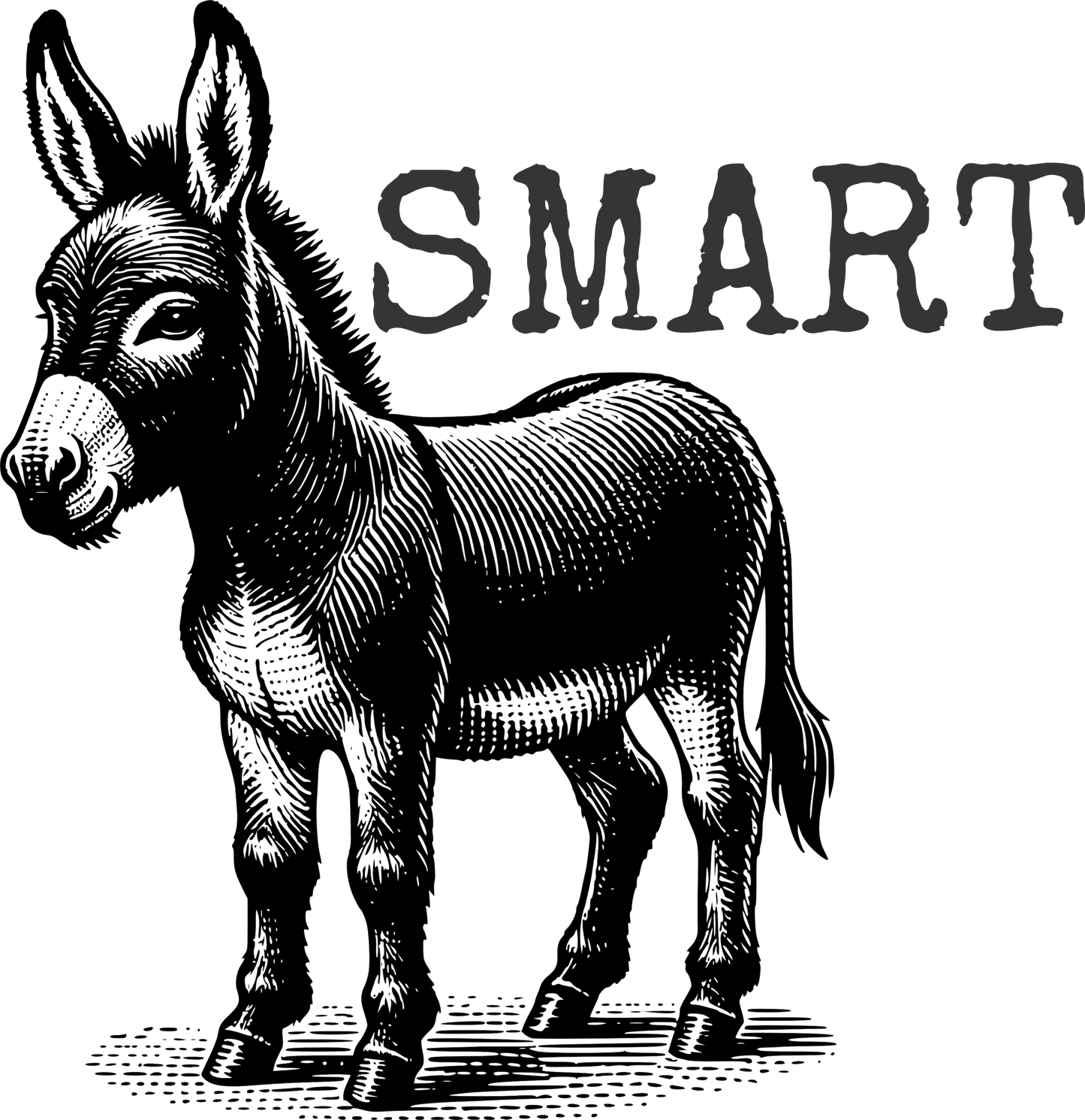 Designs - Animal
