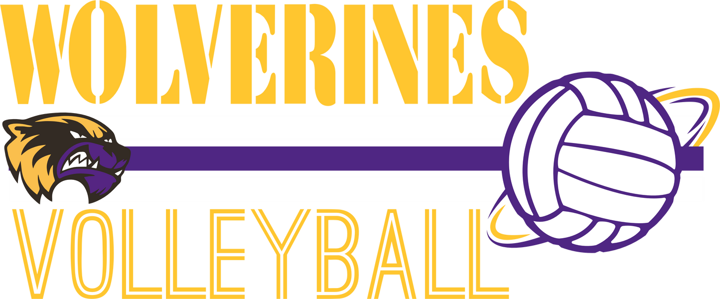 HSA Volleyball Designs